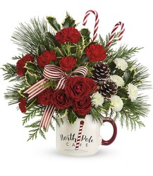 Christmas under $50